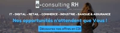 http://e-consultingrh.com/